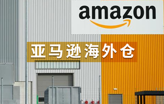 2020福建跨境电商政策_福建跨境电商公司排名最新_福建跨境电商