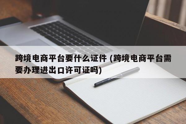 入驻跨境电商个人平台要求_入驻跨境电商个人平台有哪些_个人入驻跨境电商平台