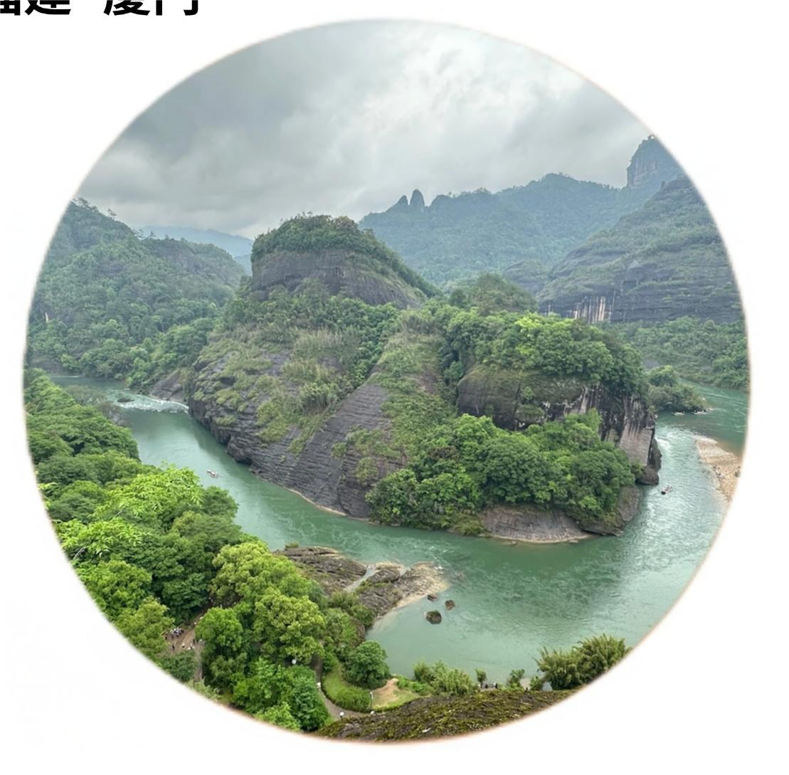 陈世辉-厦门博锡亚总经理