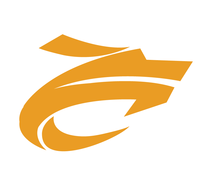 斗仓海外仓-一件代发提速专家