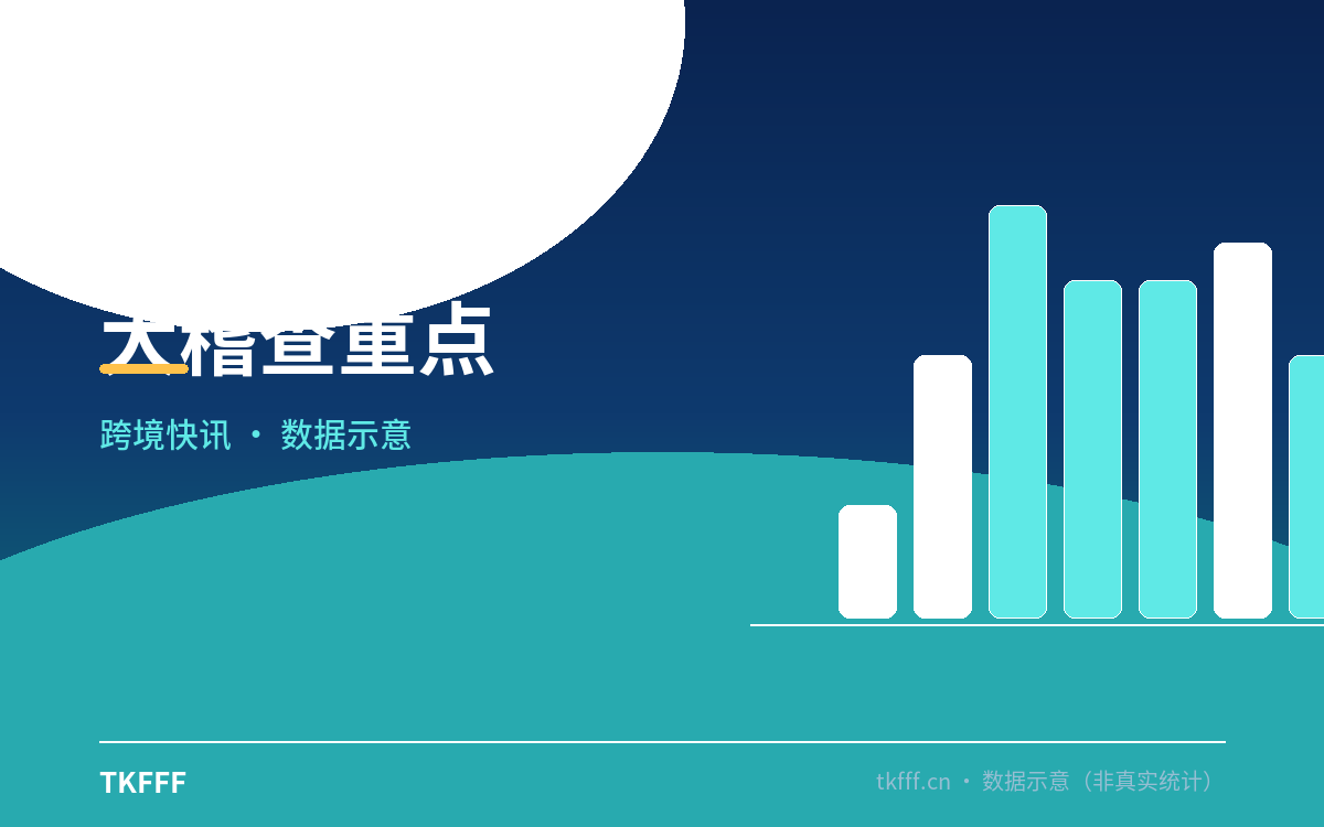 大稽查重点