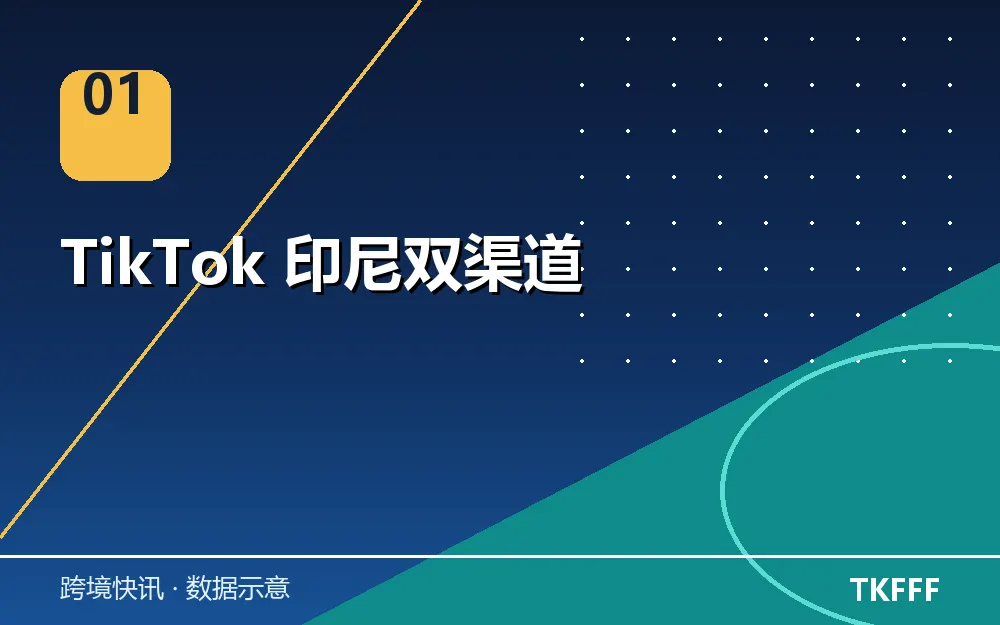 TikTok 印尼双渠道