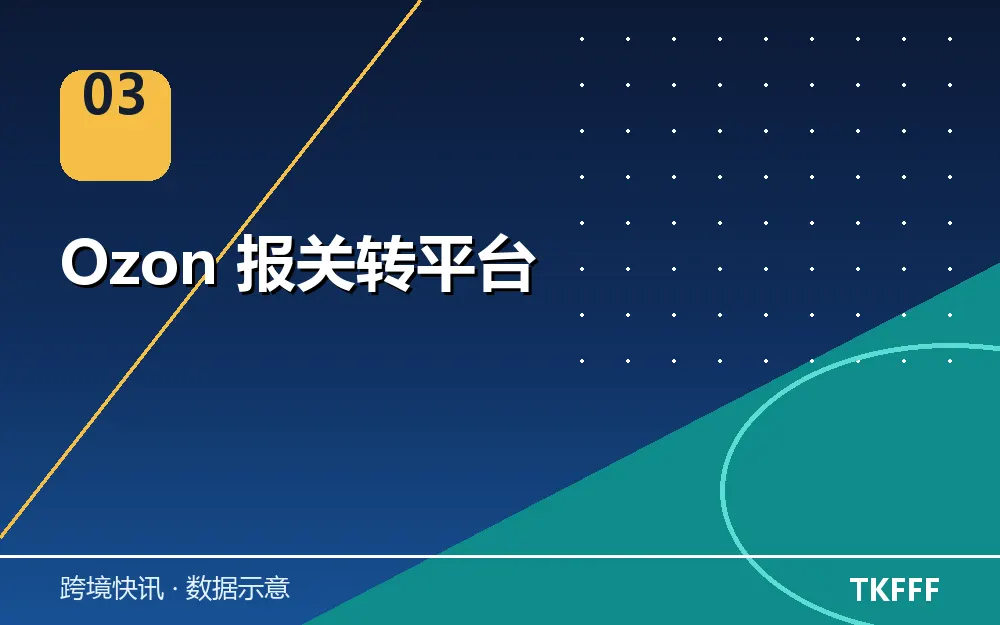 Ozon 报关转平台